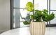 New Apartment On Great Location Opposite Garden City : 02 - thumb 3
