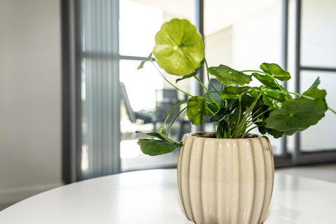 New Apartment On Great Location Opposite Garden City : 02 - Tourism Guide 3