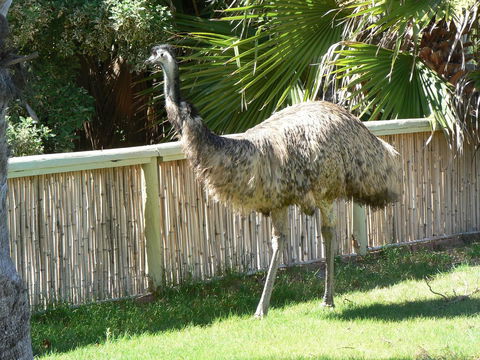 Wildsights Villas - Travel Search 29