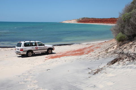 Wildsights Villas - Travel Search 12