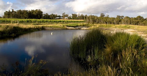 SilverSprings Spa Retreat Pet Friendly Cottages And Glampings - Travel Search 2