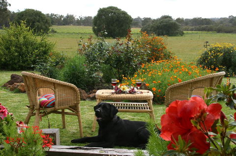 SilverSprings Spa Retreat Pet Friendly Cottages And Glampings - Travel Search 0