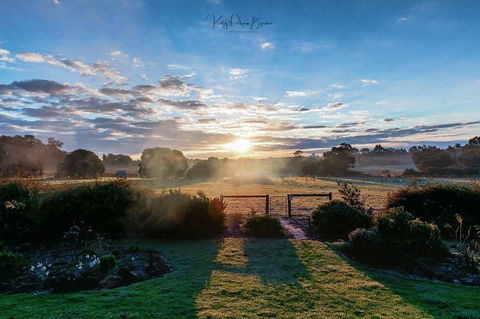 SilverSprings Spa Retreat Pet Friendly Cottages And Glampings - Travel Search 26