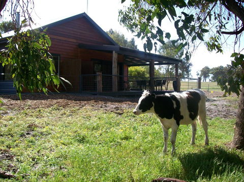 SilverSprings Spa Retreat Pet Friendly Cottages And Glampings - Travel Search 23