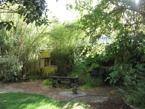 Black Cockatoo Lodge - Cruises Travel 24