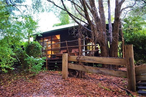 Black Cockatoo Lodge - Cruises Travel 4