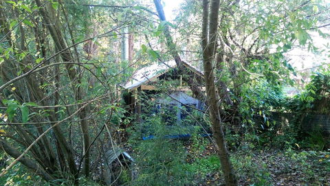 Black Cockatoo Lodge - Cruises Travel 22