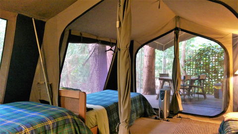 Black Cockatoo Lodge - Cruises Travel 18