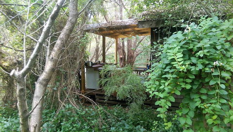 Black Cockatoo Lodge - Cruises Travel 6