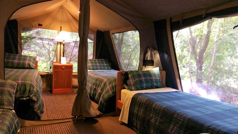 Black Cockatoo Lodge - Cruises Travel 17
