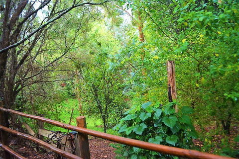 Black Cockatoo Lodge - Cruises Travel 28