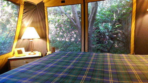 Black Cockatoo Lodge - Cruises Travel 16