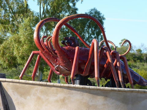 Leander Reef Holiday Park - Cruises Travel 4