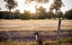 Ironstone Studio Margaret River - thumb 18