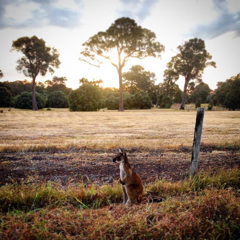 Ironstone Studio Margaret River - Tourism Guide 18