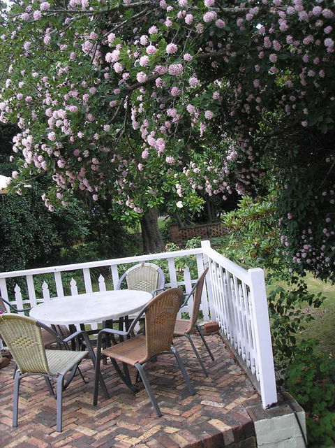 Anabel\'s Of Scottsdale - Tourism Guide 33