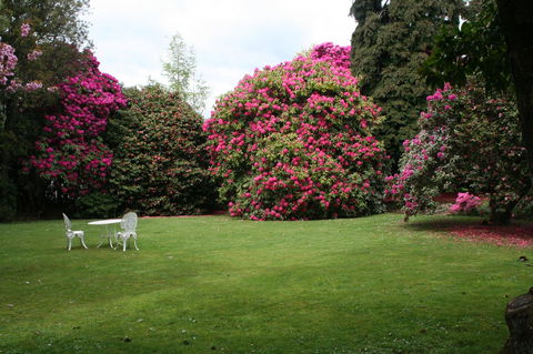 Anabel\'s Of Scottsdale - Tourism Guide 39