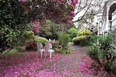 Anabel\'s Of Scottsdale - Tourism Guide 36