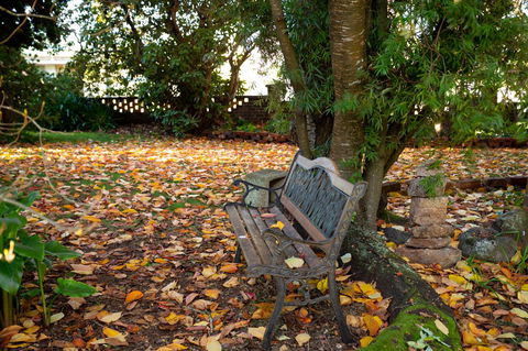 Anabel\'s Of Scottsdale - Tourism Guide 38