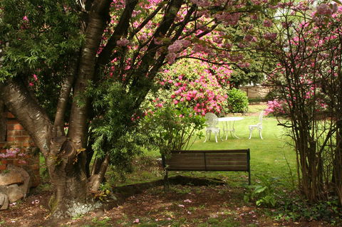 Anabel\'s Of Scottsdale - Tourism Guide 34