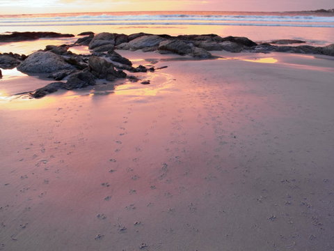 Beachend Bicheno - Tourism Guide 2