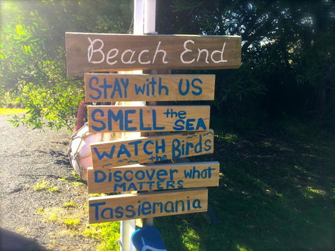 Beachend Bicheno - Tourism Guide 23