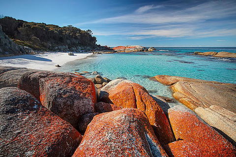 Georges Bay Apartments - Travel Search 0