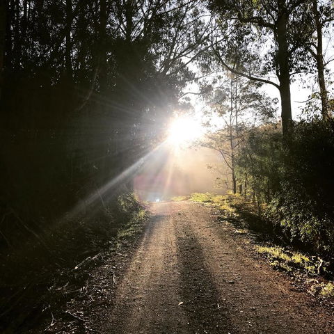 The Pear Cottage - Travel Search 23