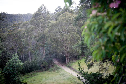 The Pear Cottage - Travel Search 19