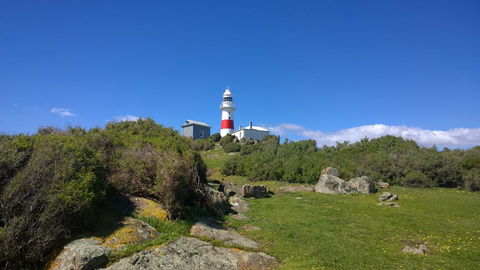 BIG4 Low Head Tourist Park - Travel Search 6