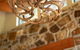 Adventure Bay Retreat Bruny Island - thumb 15