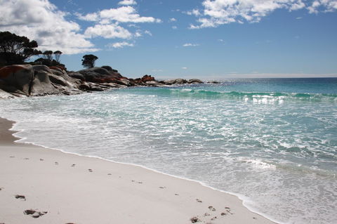 SEA EAGLE COTTAGE Amazing Views Of Bay Of Fires - Tourism Guide 14