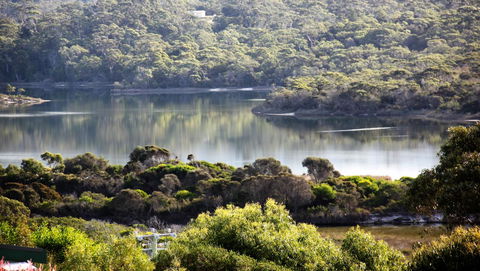 SEA EAGLE COTTAGE Amazing Views Of Bay Of Fires - Tourism Guide 17