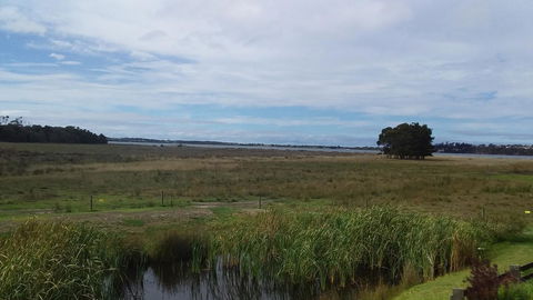 Pelican Point Sanctuary - Travel Search 21