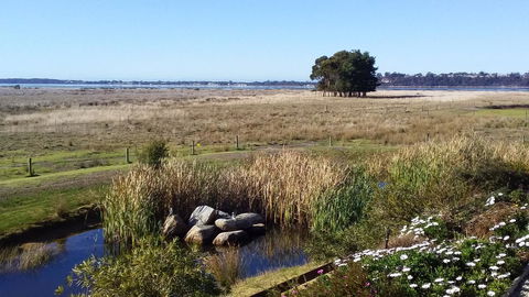 Pelican Point Sanctuary - Travel Search 7