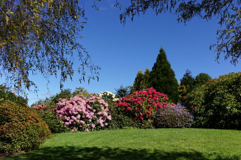 Highgrove - Travel Search 15