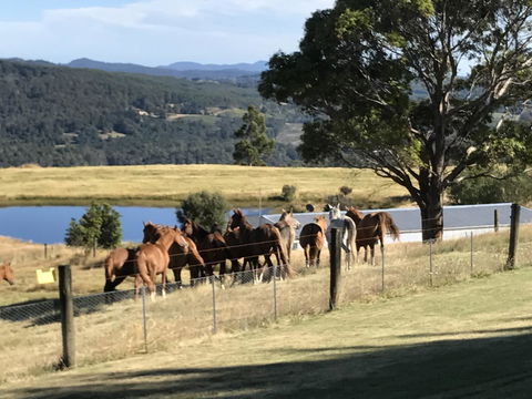 Highgrove - Travel Search 25