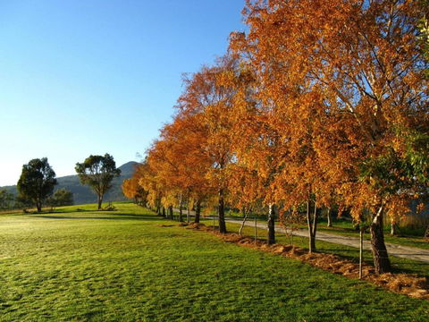 Plovers Ridge Country Retreat - Travel Search 8