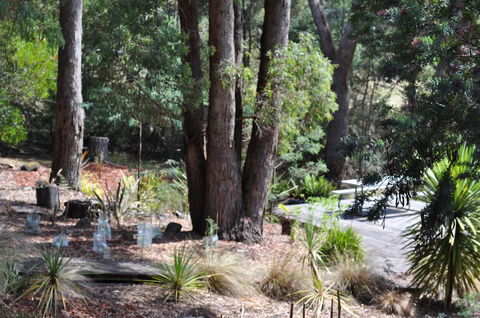 Oyster Cove Chalet - Tourism Guide 26