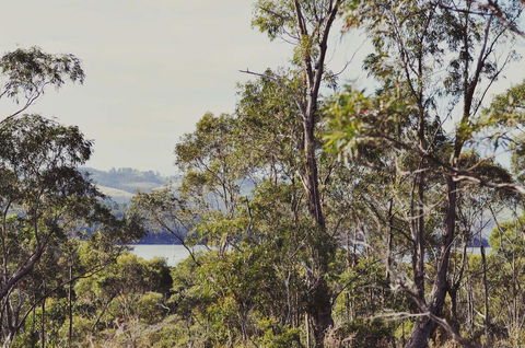 Oyster Cove Chalet - Tourism Guide 17