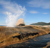 Suntrap Cove Bicheno - Tourism Guide