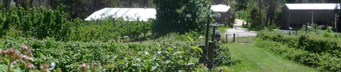 Eureka Farm - Tourism Guide 25