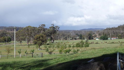 Karoola Cottage Self Contained - Tourism Guide 11
