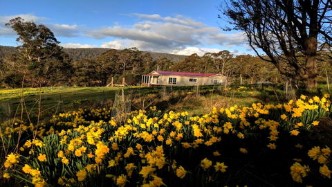 Mountain Blue Guest House - Travel Search 3