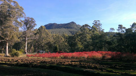 Mountain Blue Guest House - Travel Search 23