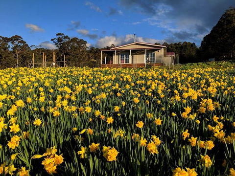 Mountain Blue Guest House - Travel Search 0