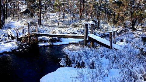 Cradle Mountain Love Shack - Travel Search 10