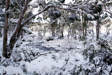 Cradle Mountain Love Shack - Travel Search 11