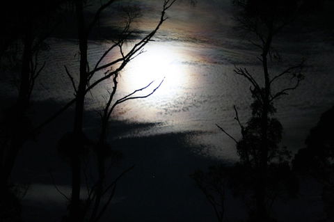 Cradle Mountain Love Shack - Travel Search 12