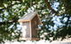 Old White Church Bed & Breakfast - thumb 31